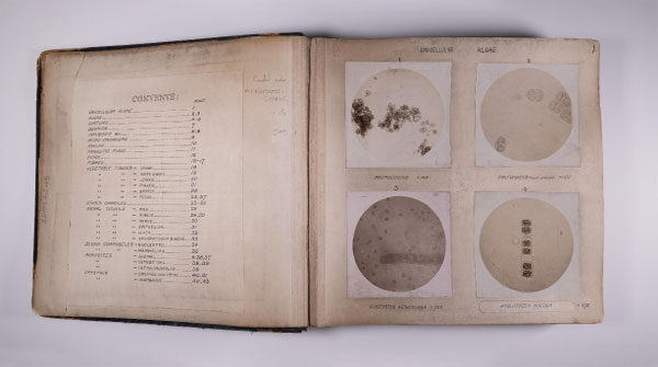 Microphotographs Presented to the Royal Institute of Chemistry by Henry Droop Richmond, c. 1877-1883