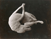 Digital Futures, Archaeological Pasts