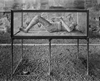 Pompeii Archive: Recent Photographs by William Wylie