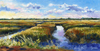 Visions of the Plains