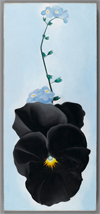 Georgia O'Keeffe: Art, Image Style