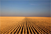 Kansas Land: Farm Photography by Larry Schwarm and "The New Farmers Project" by Photographer Bryon Darby, Designer Tim Hossler, and Sociologist Paul Stock