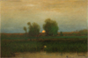Conservation: Works from the Permanent Collection