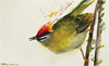 Birds in Art 2019