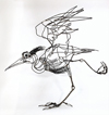 Birds in Art 2018