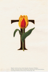 Botanical Art Worldwide: America’s Flora