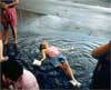 Bodies in Water