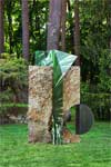 PLATFORM 19: Letha Wilson, Hawaii California Steel (Figure Ground)